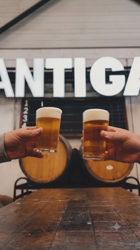 Brindis con cerveza artesana Antiga en fábrica de cerveza en Valencia