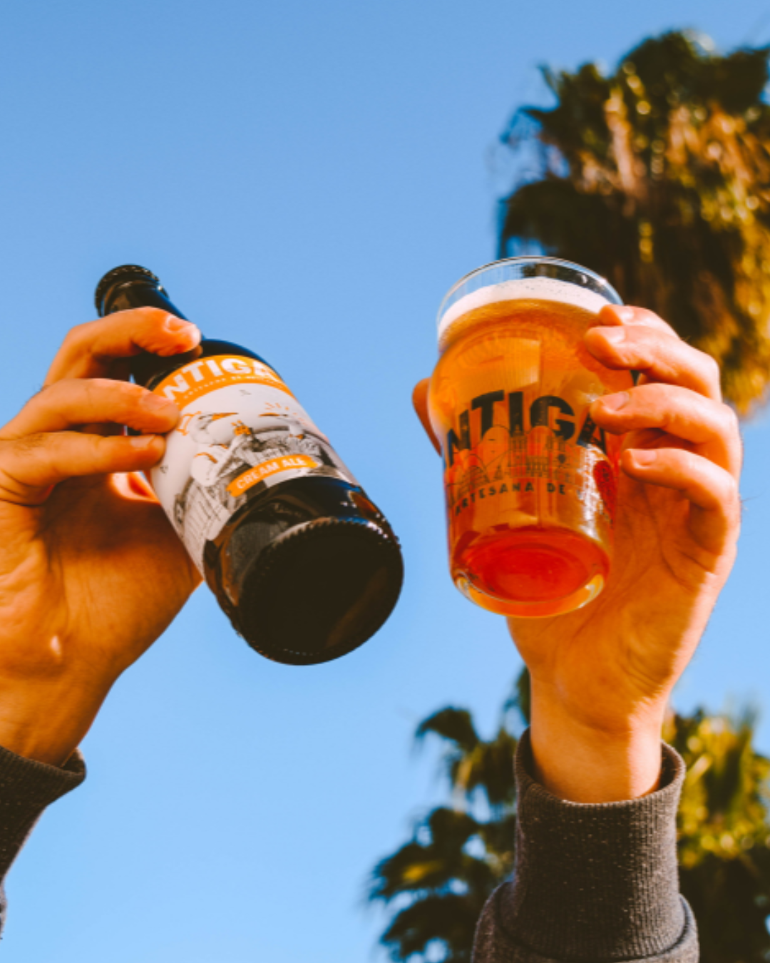 Catas en Antiga Benimaclet - Imagen 3