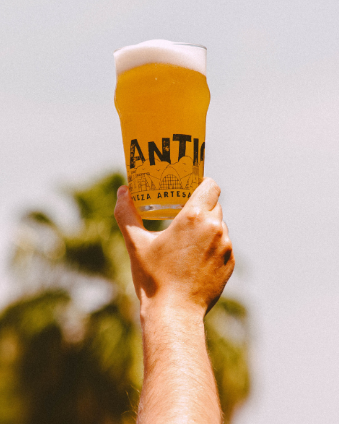 Catas en Antiga Benimaclet